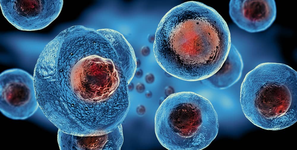 Microscopic view of blue stem cells with red nuclei floating in laboratory environment - regenerative medicine research