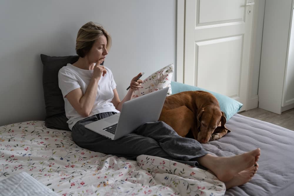 Woman researching plastic surgery options on laptop at home in comfortable bedroom setting with dog